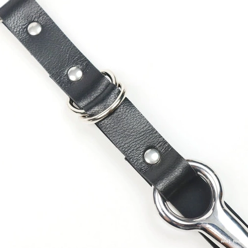 EverydayUse Collar Kinky Leash Anal Hook 5853 with and 0909